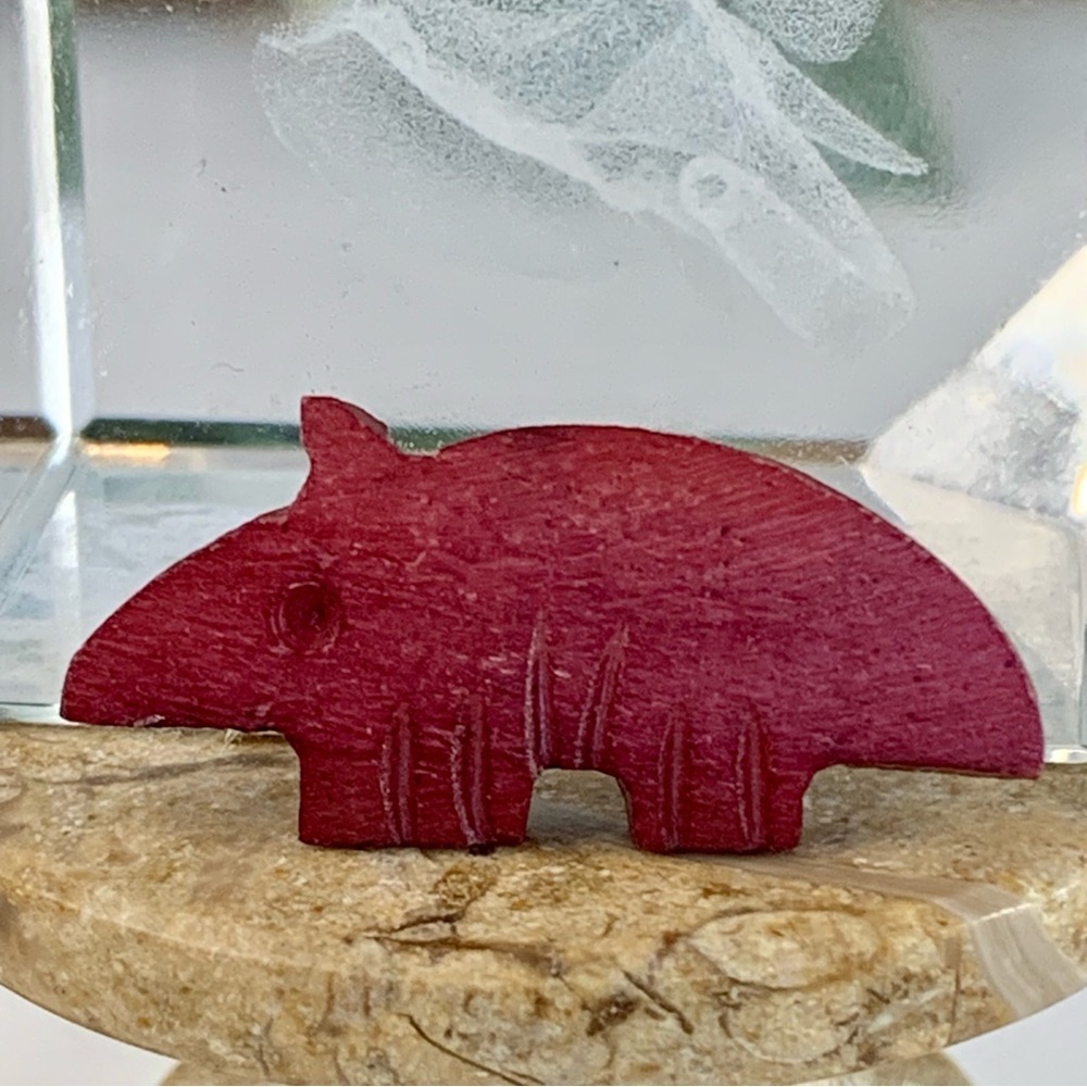 Armadillo Bone Bead Fetish Animal Carving Drilled Red Hand Carved Mammal 1.2"x.5